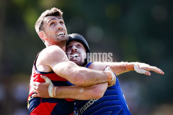 AFL 2025 Match Simulation - North Melbourne v Melbourne - A-57552683