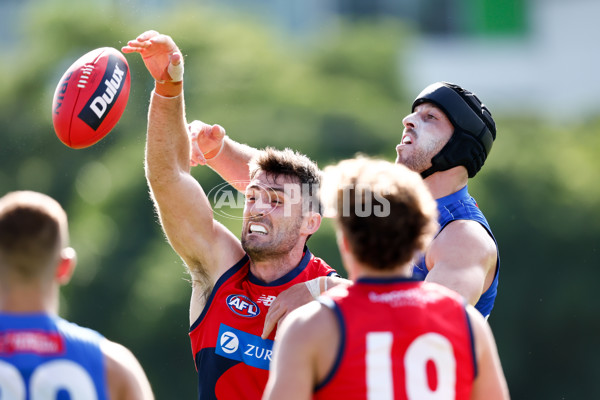 AFL 2025 Match Simulation - North Melbourne v Melbourne - A-57552684