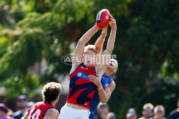 AFL 2025 Match Simulation - North Melbourne v Melbourne - A-57552687
