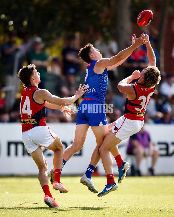 AFL 2025 Match Simulation - North Melbourne v Melbourne - A-57553236