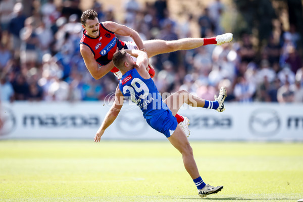 AFL 2025 Match Simulation - North Melbourne v Melbourne - A-57553237