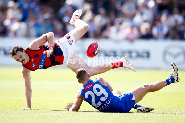 AFL 2025 Match Simulation - North Melbourne v Melbourne - A-57553239