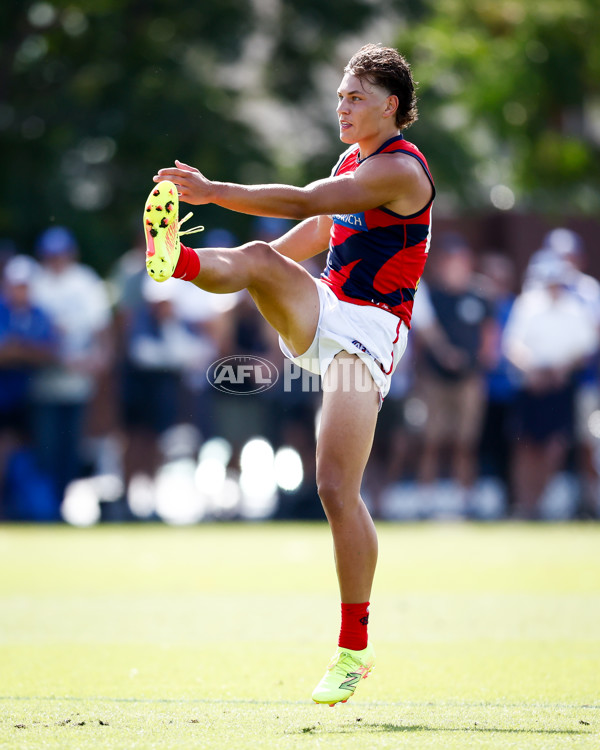 AFL 2025 Match Simulation - North Melbourne v Melbourne - A-57553253