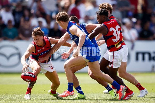 AFL 2025 Match Simulation - North Melbourne v Melbourne - A-57567016