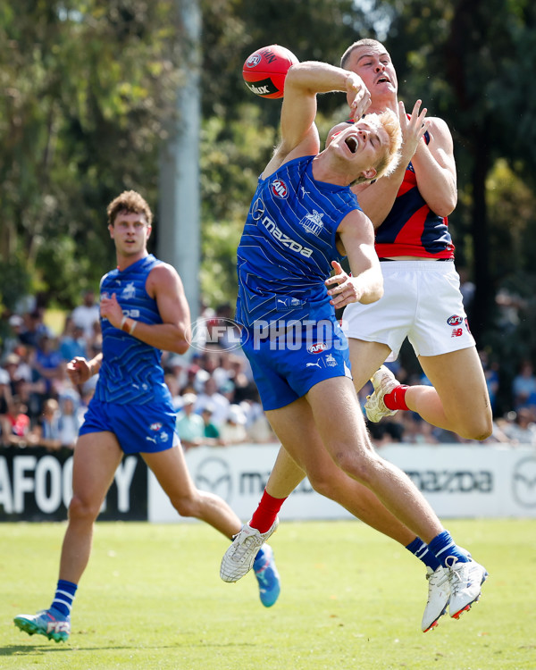 AFL 2025 Match Simulation - North Melbourne v Melbourne - A-57567884