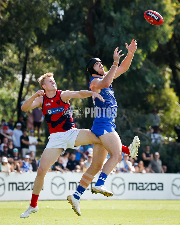 AFL 2025 Match Simulation - North Melbourne v Melbourne - A-57567893