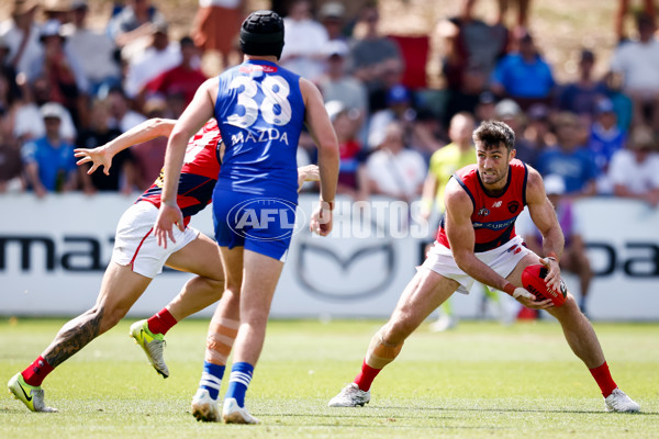 AFL 2025 Match Simulation - North Melbourne v Melbourne - A-57567904