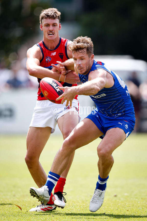 AFL 2025 Match Simulation - North Melbourne v Melbourne - A-57568994