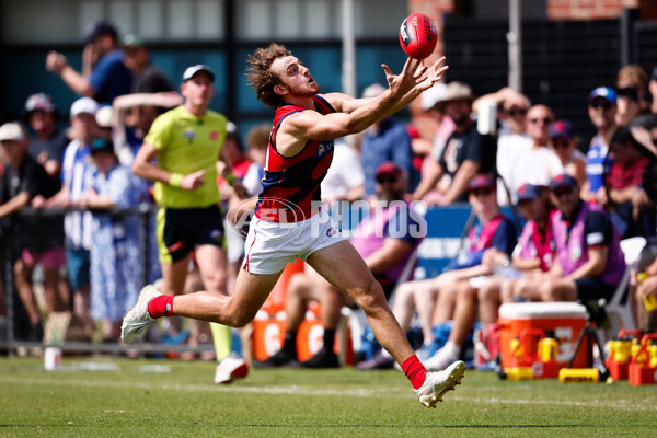 AFL 2025 Match Simulation - North Melbourne v Melbourne - A-57568997