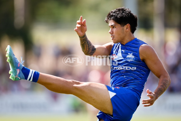 AFL 2025 Match Simulation - North Melbourne v Melbourne - A-57568999