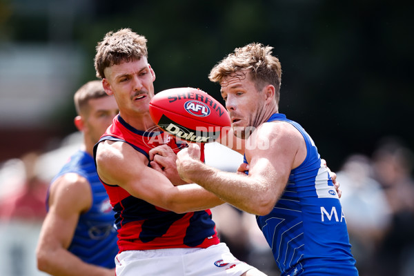 AFL 2025 Match Simulation - North Melbourne v Melbourne - A-57569000
