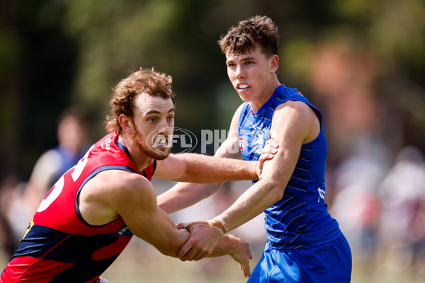 AFL 2025 Match Simulation - North Melbourne v Melbourne - A-57569002