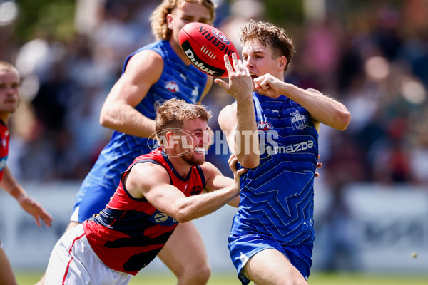 AFL 2025 Match Simulation - North Melbourne v Melbourne - A-57576748