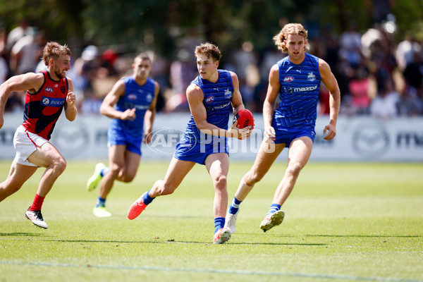 AFL 2025 Match Simulation - North Melbourne v Melbourne - A-57576750