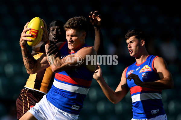 AFL 2025 AAMI Community Series - Hawthorn v Western Bulldogs - A-57606995