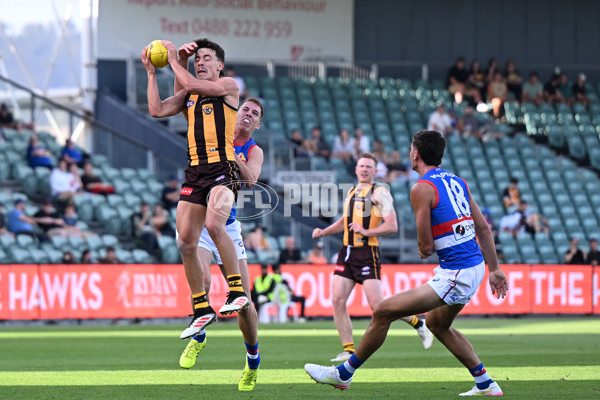 AFL 2025 AAMI Community Series - Hawthorn v Western Bulldogs - A-57607008
