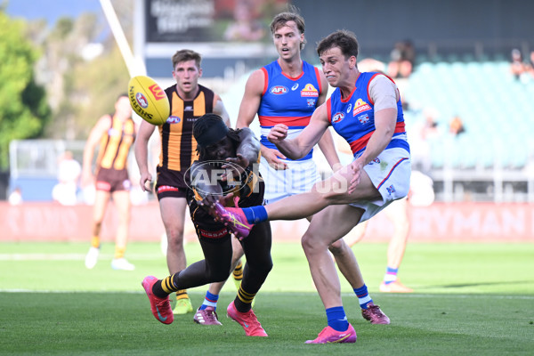 AFL 2025 AAMI Community Series - Hawthorn v Western Bulldogs - A-57607053