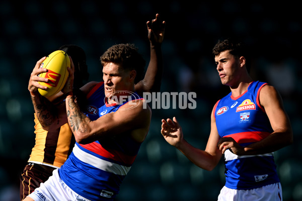 AFL 2025 AAMI Community Series - Hawthorn v Western Bulldogs - A-57610054