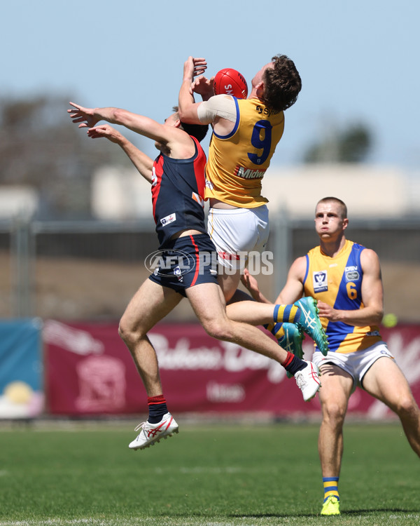 VFL 2025 Practice Match Carnival - Coburg v Williamstown - A-57622041