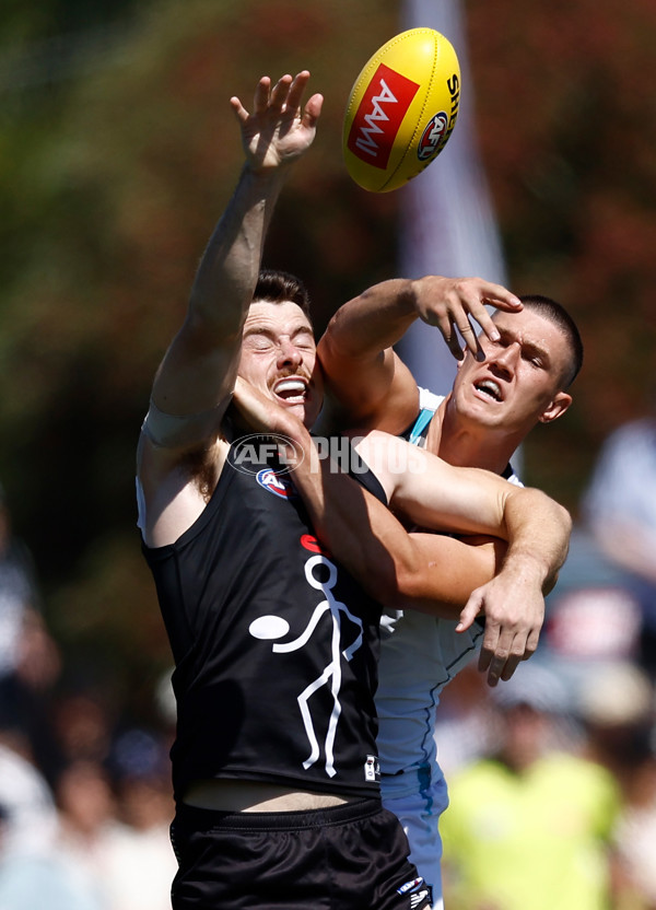 AFL 2025 AAMI Community Series - St Kilda v Port Adelaide - A-57622055