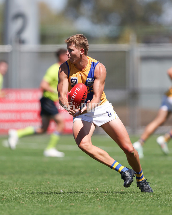 VFL 2025 Practice Match Carnival - Coburg v Williamstown - A-57624174
