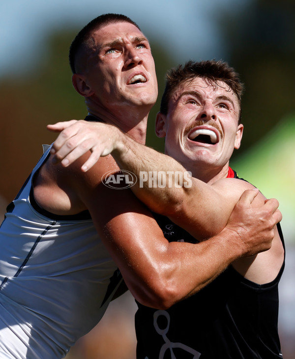 AFL 2025 AAMI Community Series - St Kilda v Port Adelaide - A-57624201