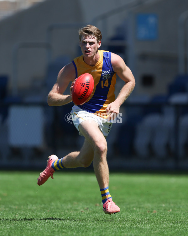VFL 2025 Practice Match Carnival - Coburg v Williamstown - A-57624747