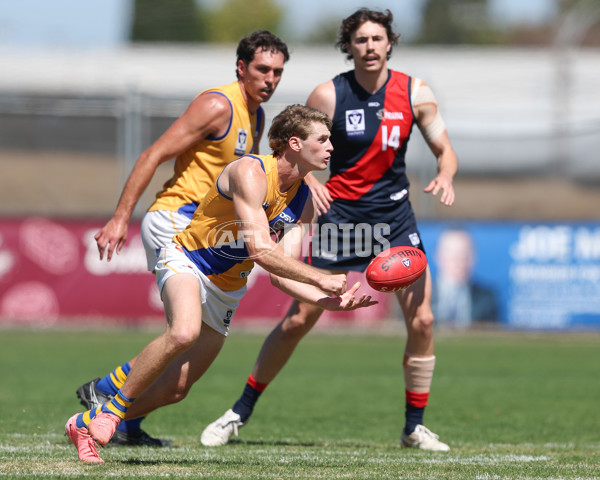 VFL 2025 Practice Match Carnival - Coburg v Williamstown - A-57624784