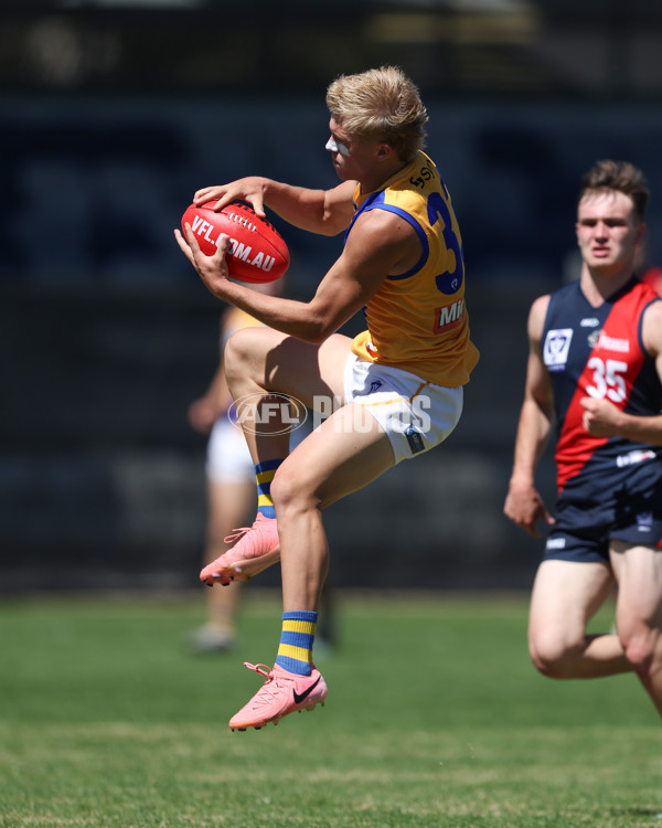 VFL 2025 Practice Match Carnival - Coburg v Williamstown - A-57624785