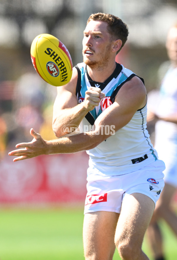 AFL 2025 AAMI Community Series - St Kilda v Port Adelaide - A-57624819