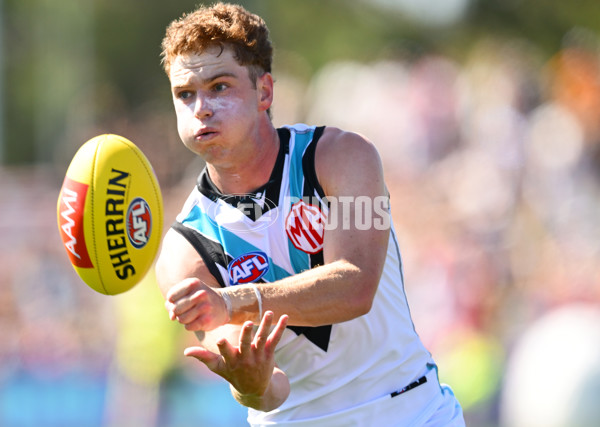 AFL 2025 AAMI Community Series - St Kilda v Port Adelaide - A-57626472