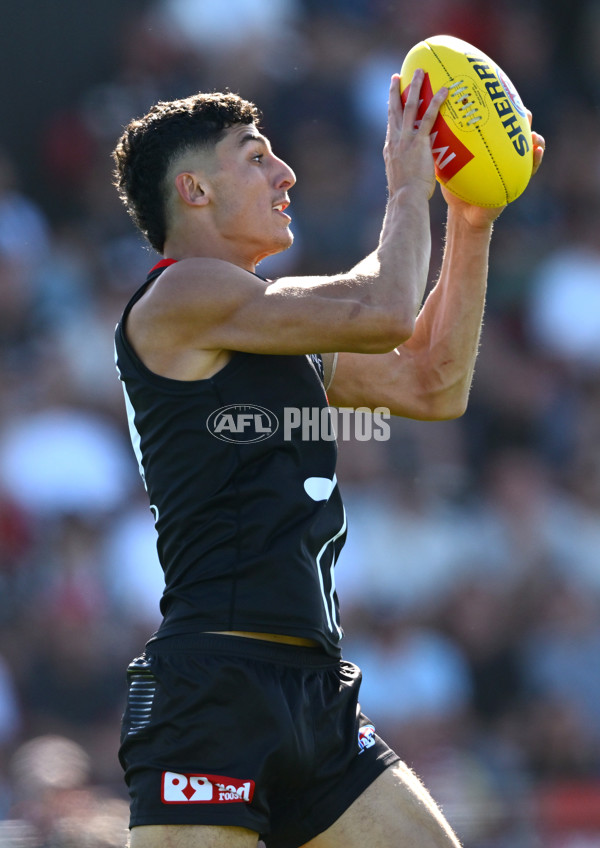 AFL 2025 AAMI Community Series - St Kilda v Port Adelaide - A-57626495
