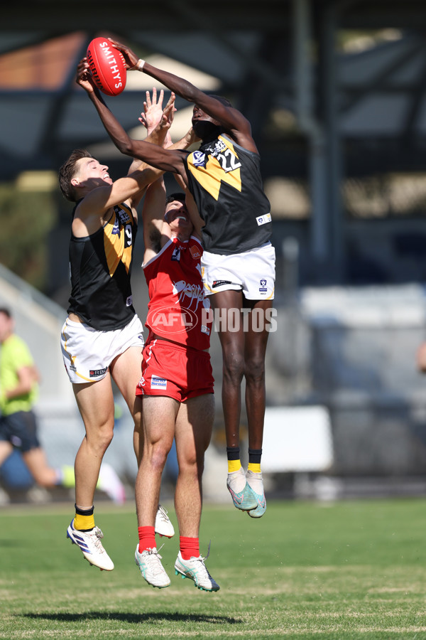 VFL 2025 Practice Match Carnival - Werribee v Northern Bullants - A-57627401