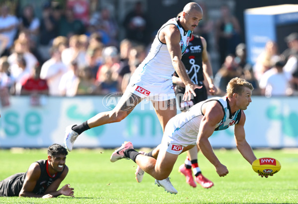 AFL 2025 AAMI Community Series - St Kilda v Port Adelaide - A-57627443