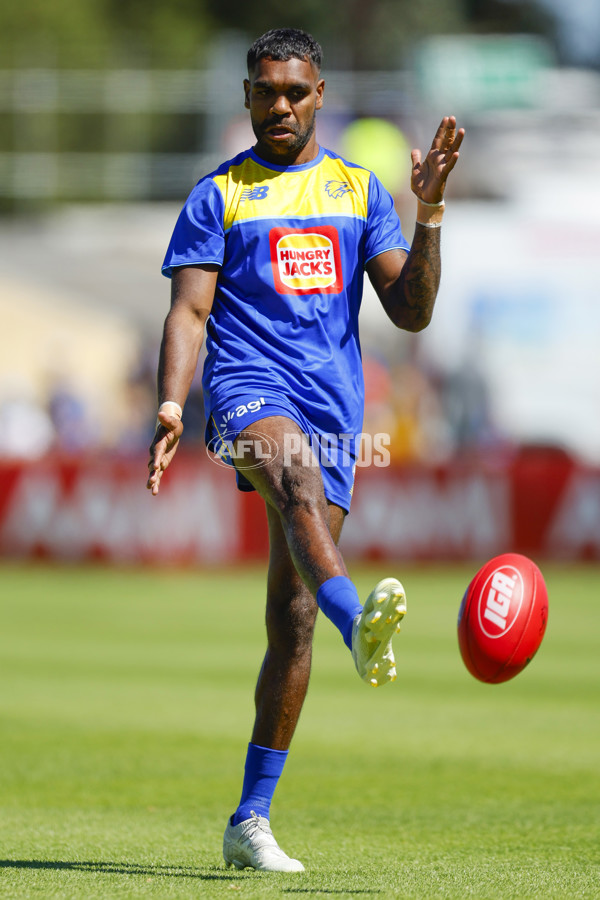 AFL 2025 AAMI Community Series - West Coast v North Melbourne - A-57627464