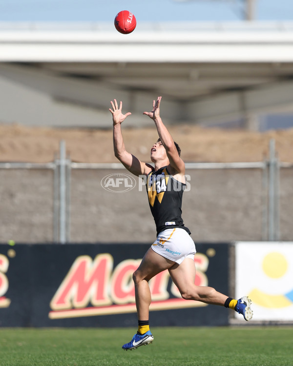 VFL 2025 Practice Match Carnival - Werribee v Northern Bullants - A-57629640