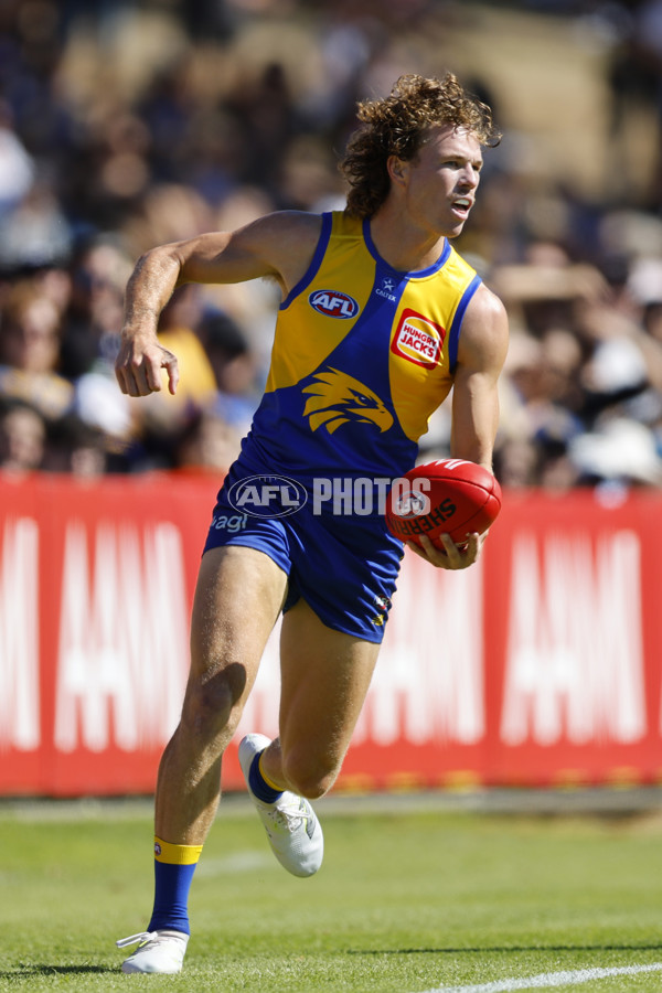 AFL 2025 AAMI Community Series - West Coast v North Melbourne - A-57629934