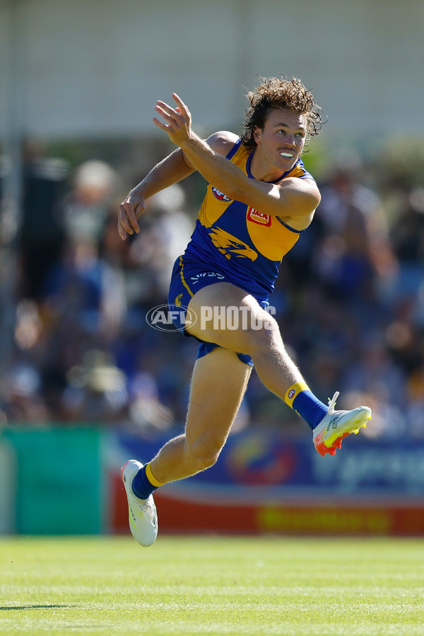 AFL 2025 AAMI Community Series - West Coast v North Melbourne - A-57629972