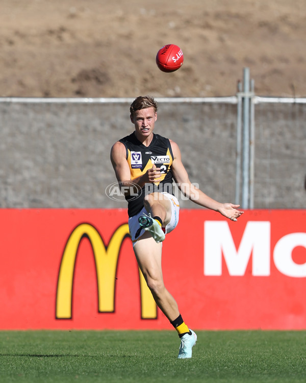 VFL 2025 Practice Match Carnival - Werribee v Northern Bullants - A-57632344