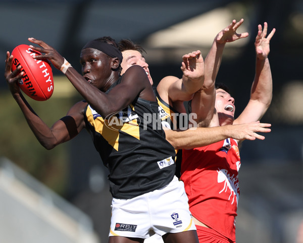 VFL 2025 Practice Match Carnival - Werribee v Northern Bullants - A-57632355