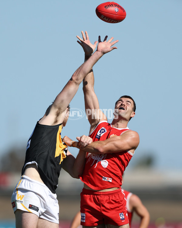 VFL 2025 Practice Match Carnival - Werribee v Northern Bullants - A-57632356