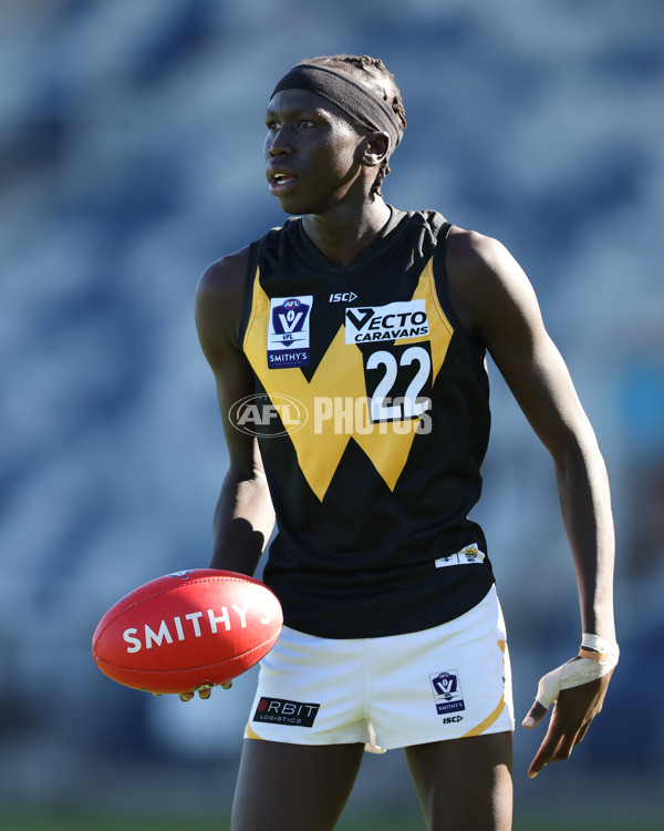 VFL 2025 Practice Match Carnival - Werribee v Northern Bullants - A-57632852