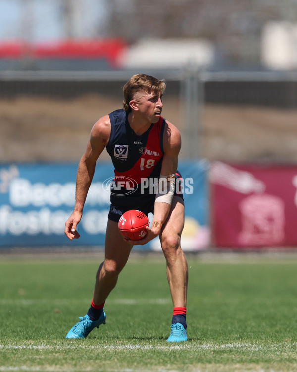 VFL 2025 Practice Match Carnival - Coburg v Williamstown - A-57634677