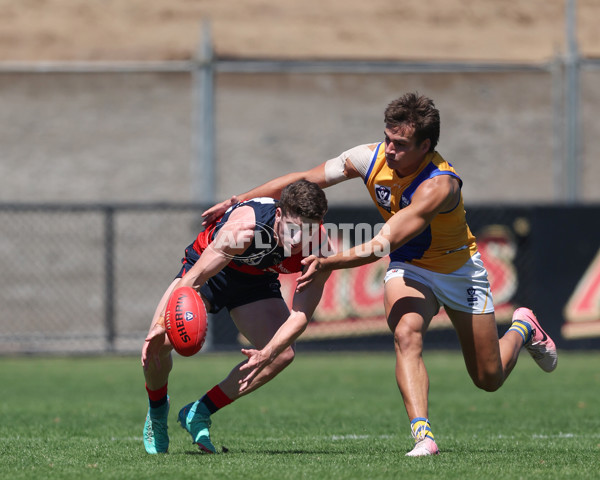 VFL 2025 Practice Match Carnival - Coburg v Williamstown - A-57634678