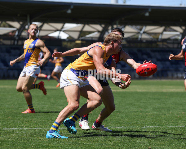 VFL 2025 Practice Match Carnival - Coburg v Williamstown - A-57634697