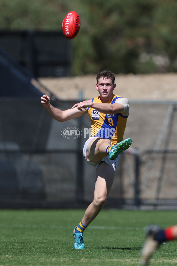 VFL 2025 Practice Match Carnival - Coburg v Williamstown - A-57634712