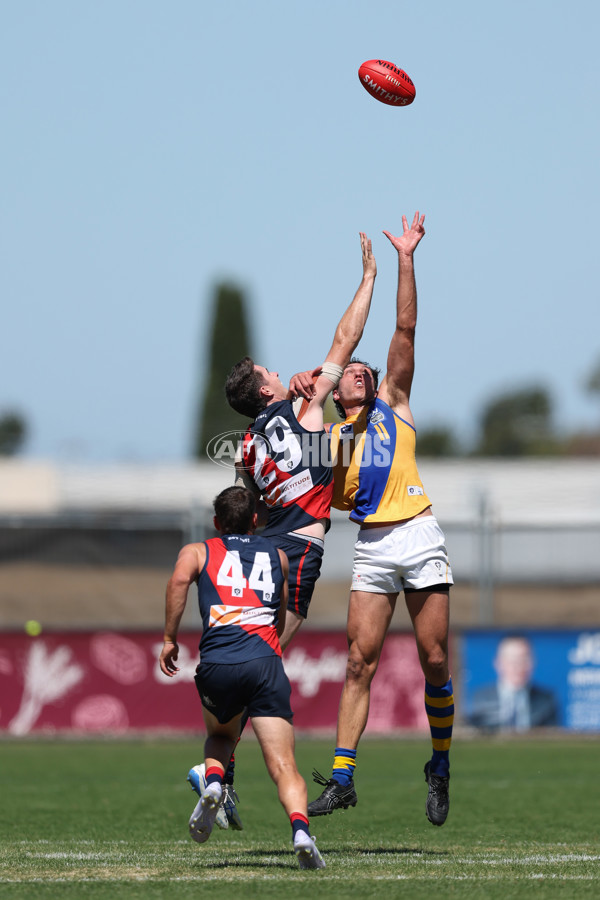 VFL 2025 Practice Match Carnival - Coburg v Williamstown - A-57635856