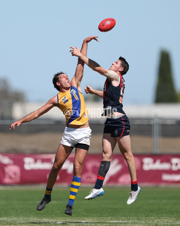 VFL 2025 Practice Match Carnival - Coburg v Williamstown - A-57635879