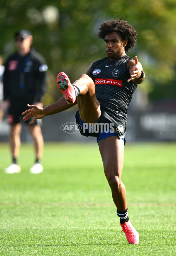 AFL 2025 Training - Collingwood 030325 - A-57648459