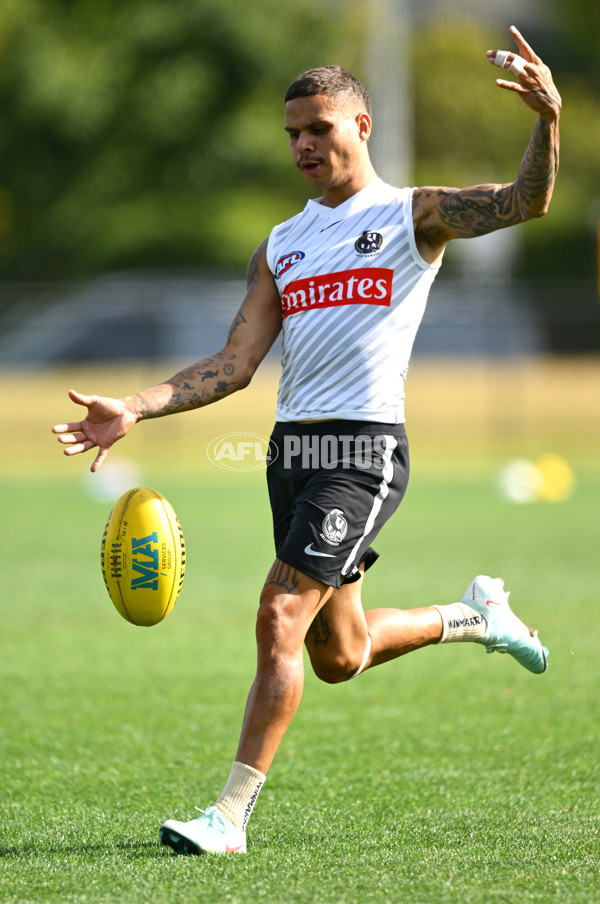 AFL 2025 Training - Collingwood 030325 - A-57648470